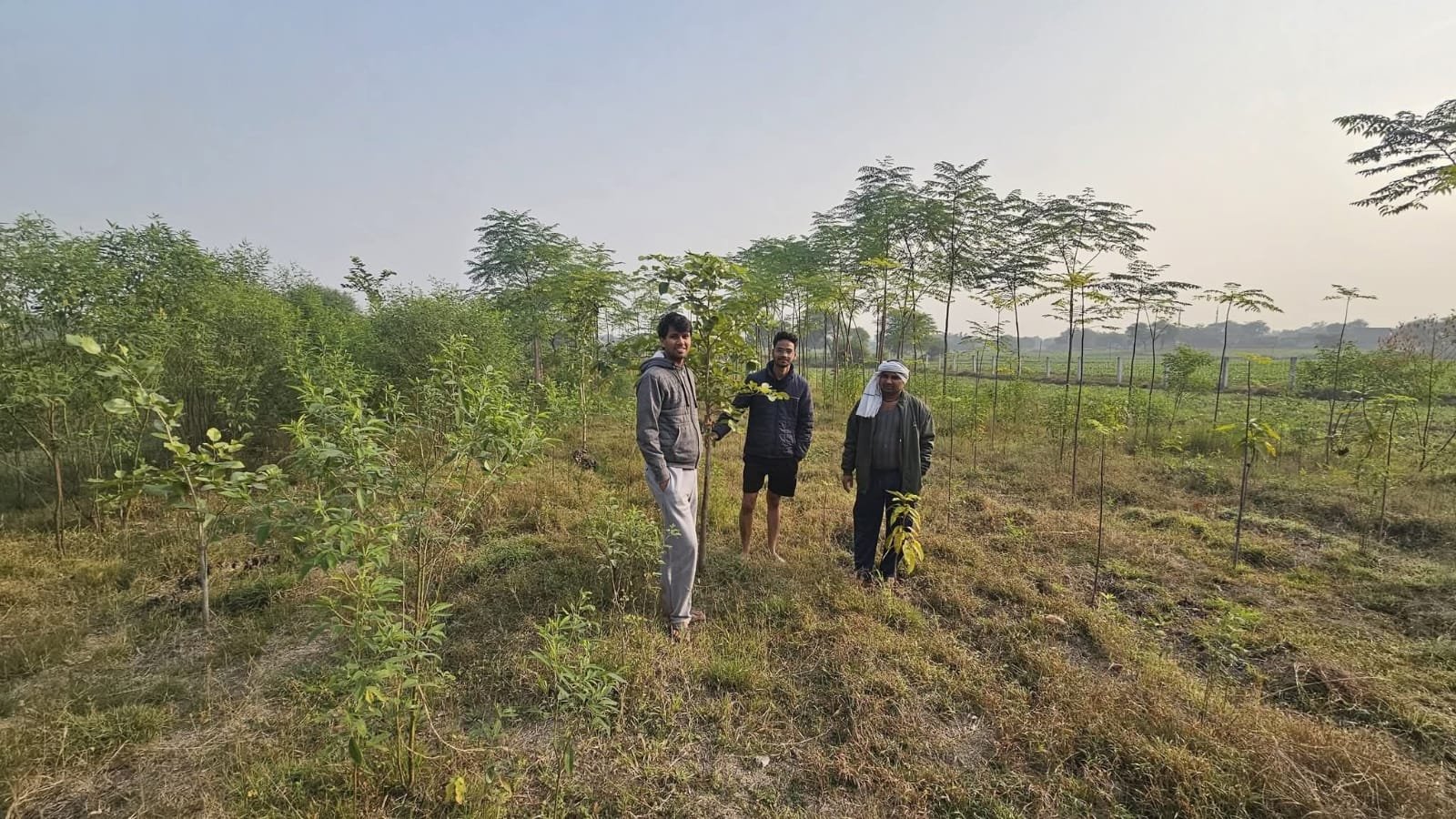 Manav Jeevan volunteers and villagers planting saplings in an open field near Udaypur, Banda