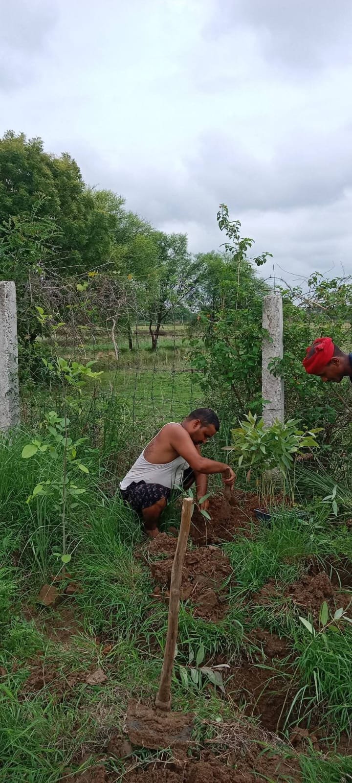 Manav Jeevan volunteers and villagers planting saplings during a tree plantation drive