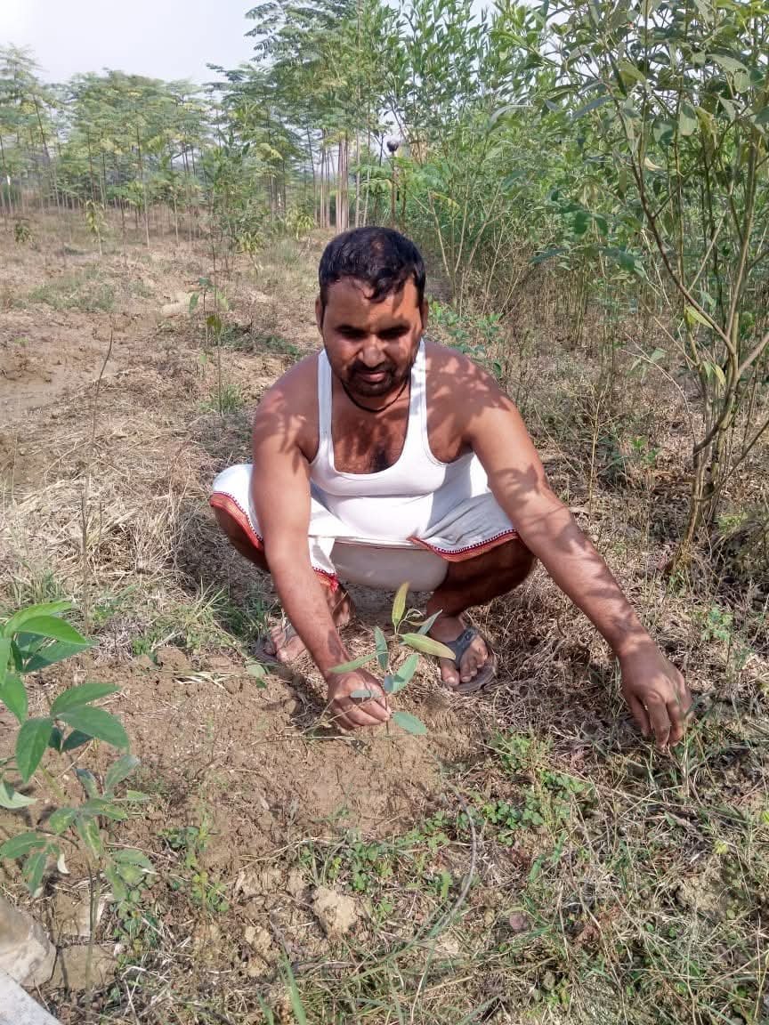 A child watering a newly planted sapling